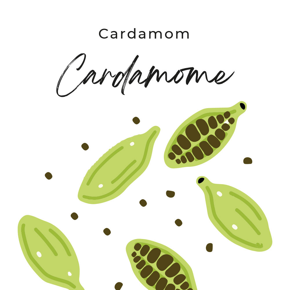 parfum cardamome