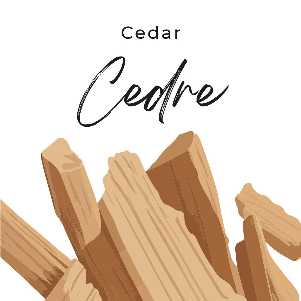 frangrance cedre make your scents