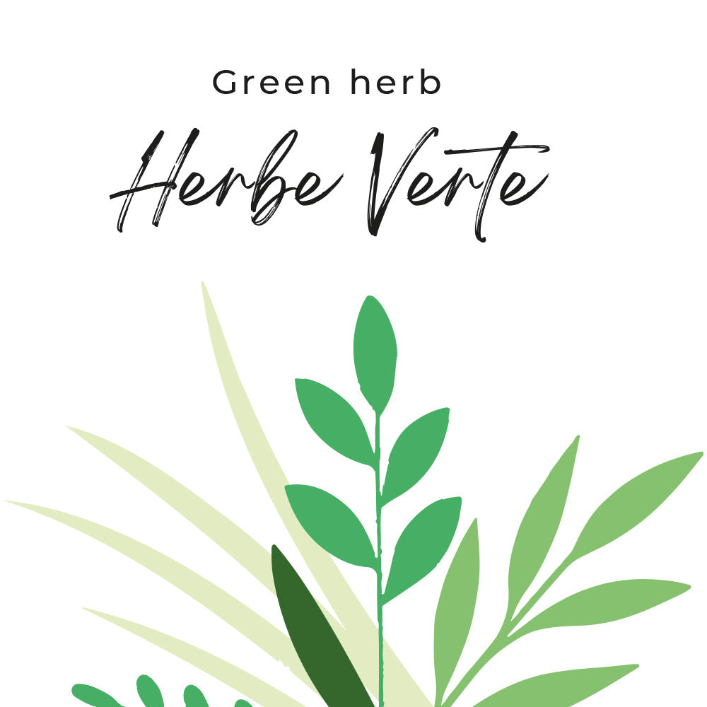 fragance herbe verte