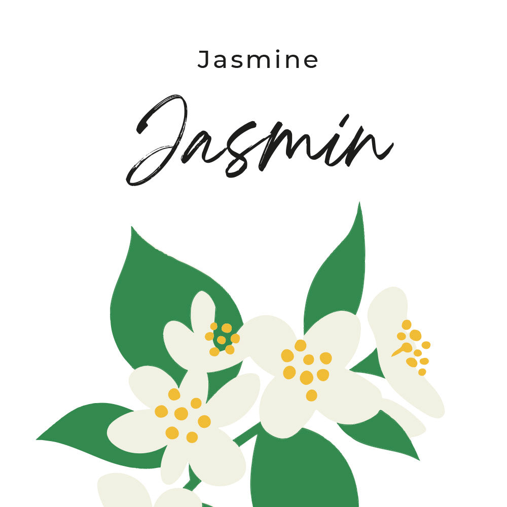 parfum jasmin