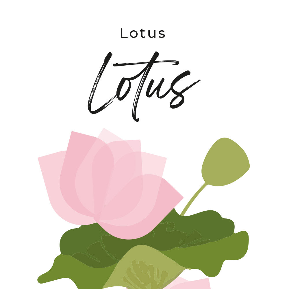 parfum lotus