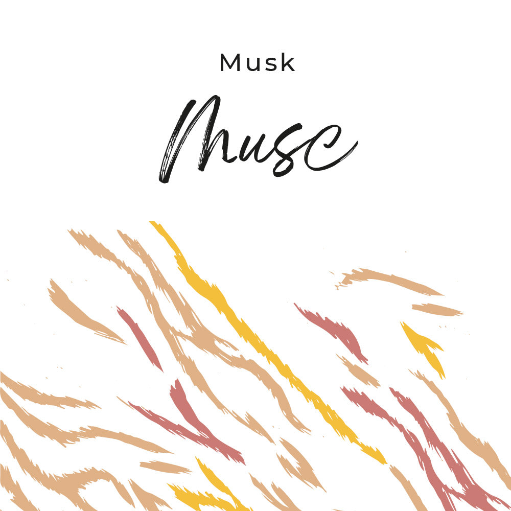 parfum musc