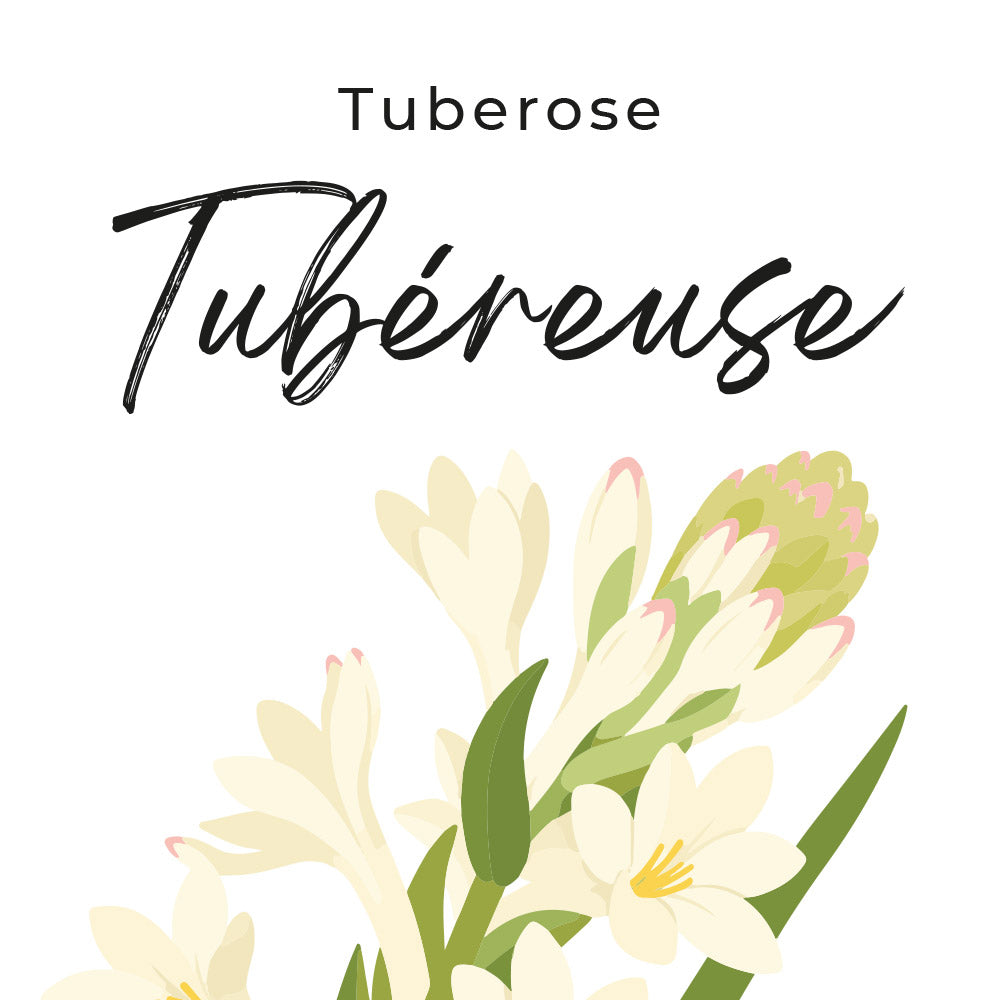 tubéreuse fragrance