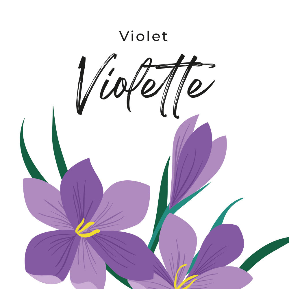 parfum violet