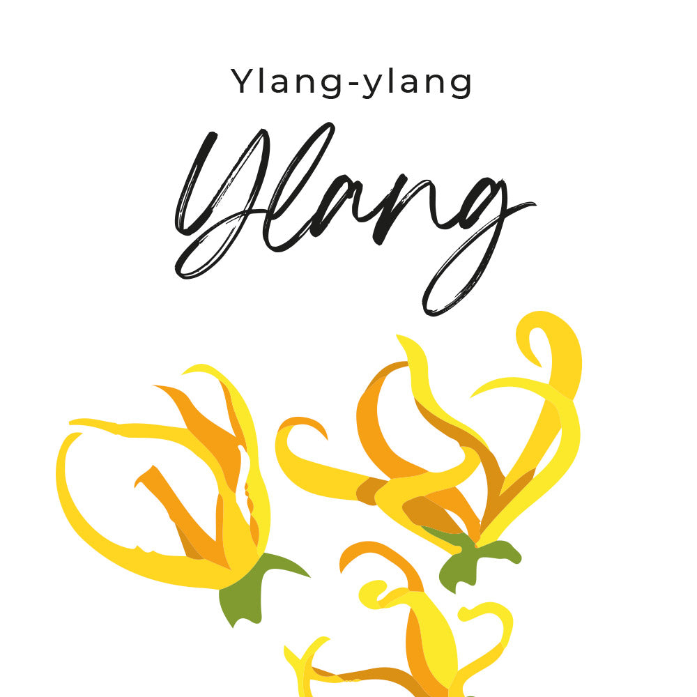 parfum ylang